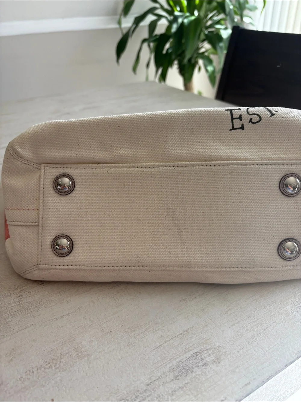 Coach Canvas Tote with Taupe Star Charm and Rose Gold Script
